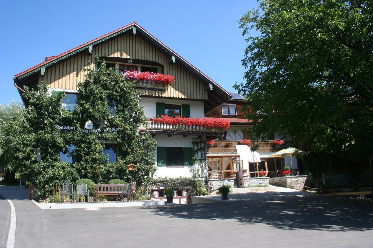Steiner Wirt Hotel Tiefenbach  Exterior photo